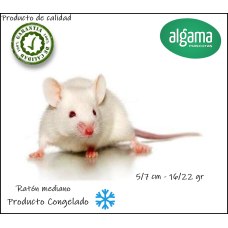 Ratón de laboratorio mediano (Producto congelado)